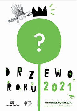 Plakat Drzewo Roku 2021