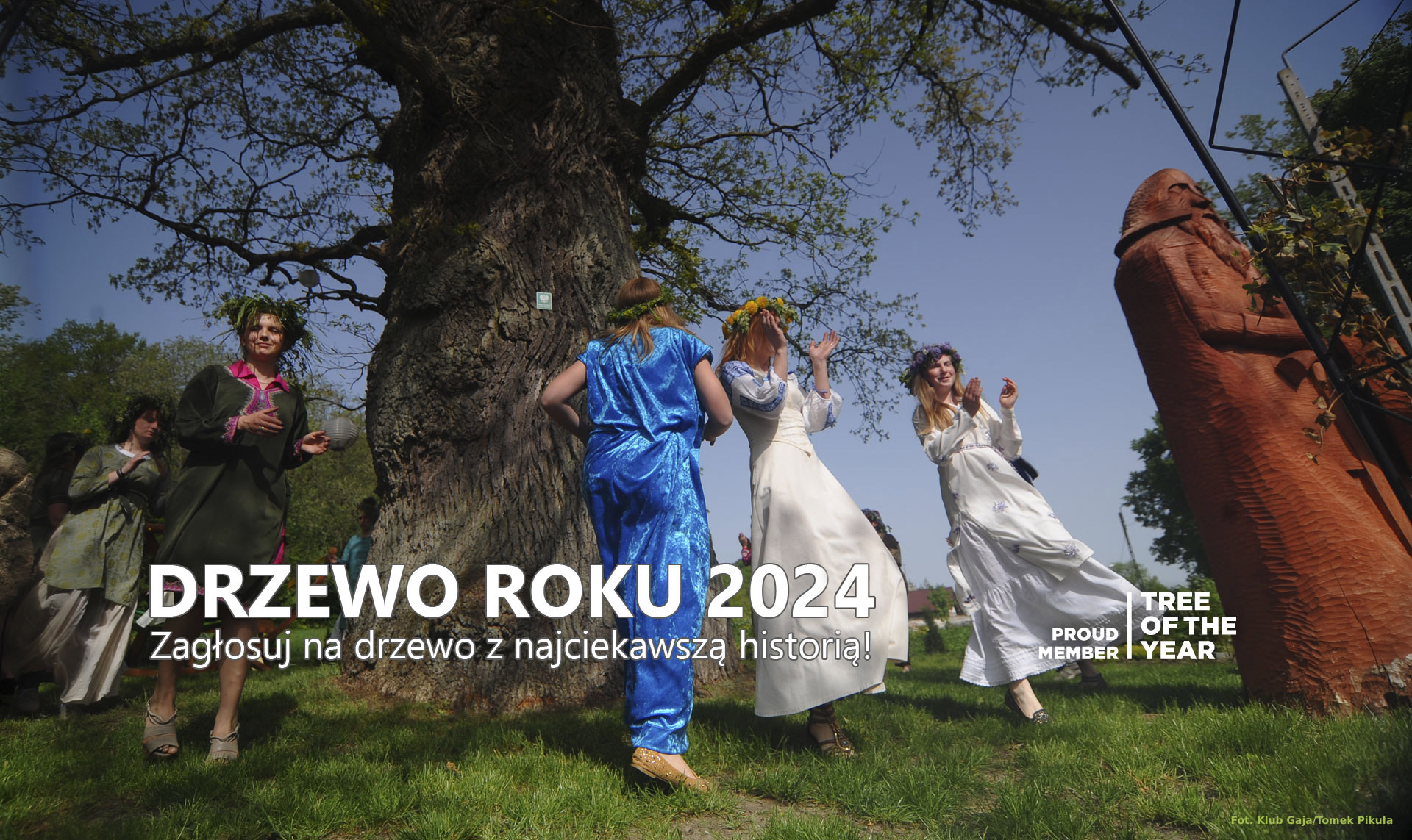 Konkurs Drzewo Roku